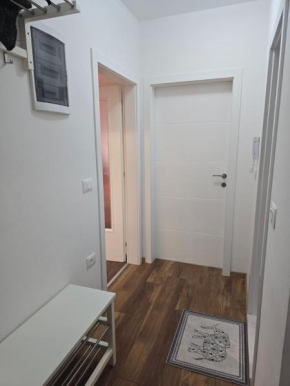 Sunny apartment